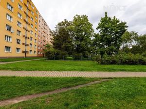 Prodej bytu 2+1, Plzeň, Skupova, 61 m2