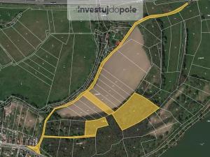 Prodej pozemku, Chlumec nad Cidlinou - Pamětník, 3126 m2
