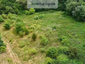 Prodej pozemku, Břasy - Vranovice, 3111 m2