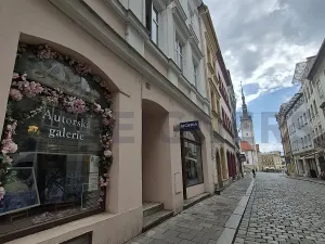Pronájem pokoje, Olomouc, Ostružnická, 16 m2