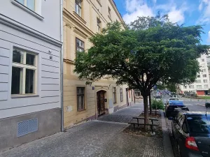 Pronájem bytu 3+kk, Praha - Vinohrady, Bořivojova, 105 m2