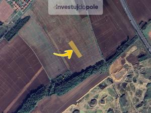 Prodej pole, Veltrusy, 1504 m2