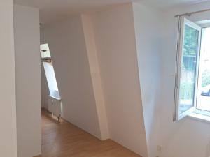 Pronájem bytu 1+kk, Aš, Hlavní, 44 m2