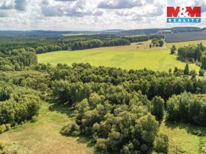 Prodej pole, Přimda - Mlýnec, 238031 m2