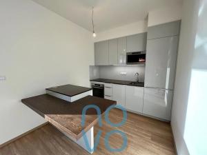 Pronájem bytu 1+kk, Praha - Libeň, Vojenova, 38 m2
