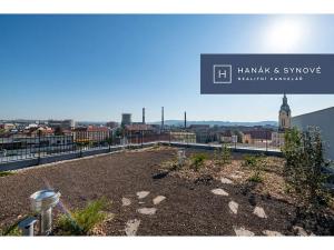 Pronájem bytu 1+kk, Brno, Křenová, 20 m2