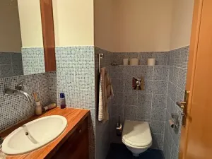 Prodej bytu 5+1, Praha - Troja, Velká skála, 210 m2