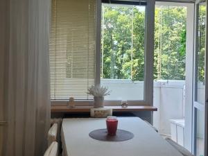 Pronájem bytu 2+1, Rožnov pod Radhoštěm, 5. května, 54 m2
