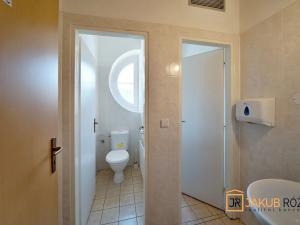 Prodej komerčního pozemku, Heřmánkovice, 40632 m2