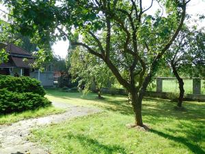 Prodej kanceláře, Ostrava, Jungbauerova, 210 m2