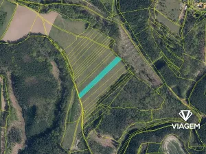 Prodej podílu lesa, Nosálov, 2172 m2