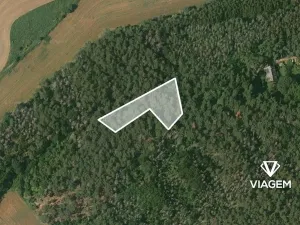 Prodej podílu lesa, Hrdlív, 807 m2