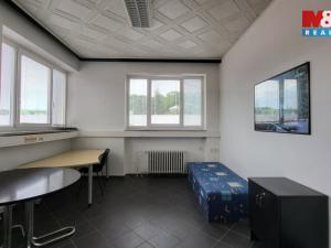 Pronájem kanceláře, Šternberk, Dvorská, 140 m2