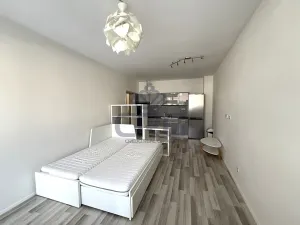 Pronájem bytu 1+kk, Moravany, Višňová, 36 m2