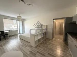Pronájem bytu 1+kk, Moravany, Višňová, 36 m2