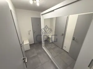 Pronájem bytu 1+kk, Moravany, Višňová, 36 m2
