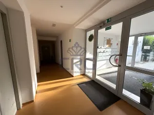 Pronájem bytu 1+kk, Moravany, Višňová, 36 m2