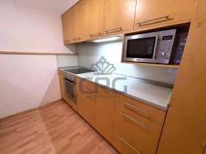 Pronájem bytu 2+kk, Brno, Haškova, 87 m2