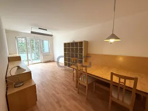 Pronájem bytu 2+kk, Brno, Haškova, 87 m2