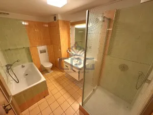 Pronájem bytu 2+kk, Brno, Haškova, 87 m2