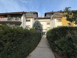 Pronájem bytu 1+kk, Moravany, Višňová, 35 m2