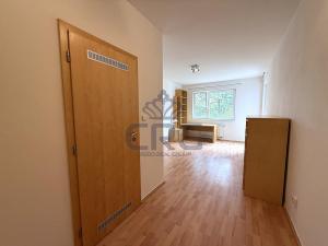 Pronájem bytu 2+kk, Brno - Lesná, Haškova, 87 m2
