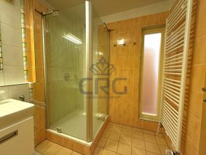 Pronájem bytu 2+kk, Brno - Lesná, Haškova, 87 m2