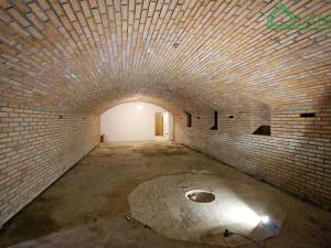 Pronájem obchodního prostoru, Brno, Benešova, 160 m2