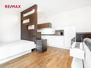 Pronájem bytu 1+kk, Praha - Žižkov, Olšanská, 35 m2