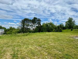 Prodej pozemku pro bydlení, Mikulovice, U Fryčáku, 1286 m2