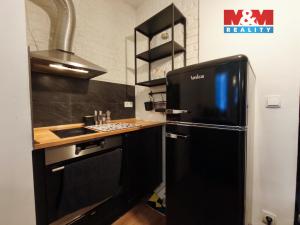 Pronájem bytu 1+1, Praha - Vinohrady, Šafaříkova, 31 m2