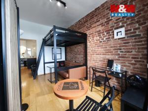 Pronájem bytu 1+1, Praha - Vinohrady, Šafaříkova, 31 m2