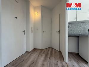 Pronájem bytu 1+1, Karviná - Ráj, Borovského, 42 m2