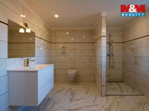 Prodej rodinného domu, Mašťov, Lesní, 168 m2