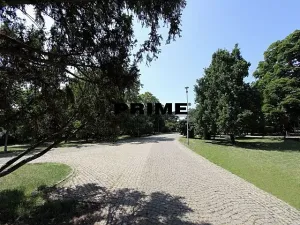 Pronájem bytu 3+kk, Praha - Vinohrady, Mánesova, 119 m2