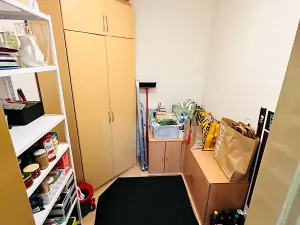 Pronájem bytu 4+kk, Brno, Pavlovská, 99 m2