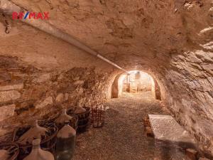 Prodej rodinného domu, Obora, 900 m2