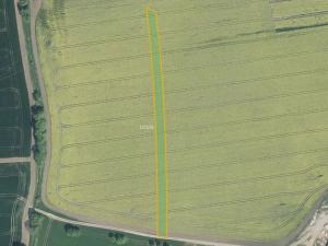 Prodej pole, Roštín, 17285 m2