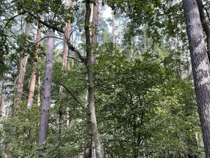 Prodej podílu pozemku, Velký Ratmírov, 3510 m2