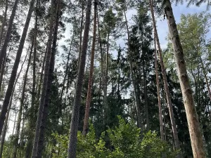 Prodej podílu pozemku, Velký Ratmírov, 3510 m2