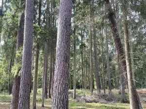 Prodej podílu pozemku, Velký Ratmírov, 3510 m2