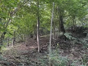 Prodej pozemku, Útěchov, 50152 m2