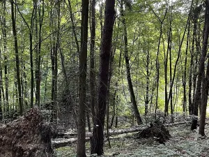 Prodej pozemku, Útěchov, 50152 m2