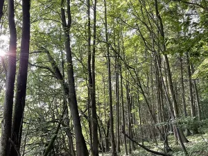 Prodej pozemku, Útěchov, 50152 m2