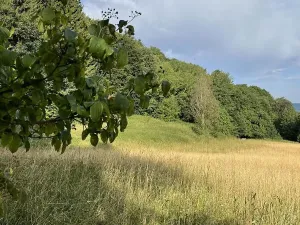 Prodej pozemku, Útěchov, 50152 m2