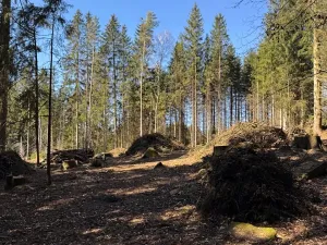 Prodej podílu pozemku, Studená, 18432 m2