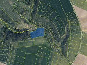 Prodej lesa, Mělnické Vtelno, 14454 m2