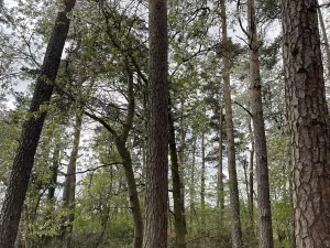 Prodej pozemku, Hradiště, 9237 m2