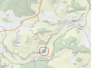 Prodej podílu lesa, Malenice, 3819 m2