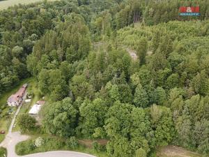 Prodej lesa, Ústí nad Orlicí - Oldřichovice, 2745 m2